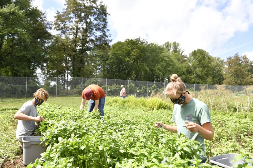 Get your hands dirty: Organic field day set for Aug. 27